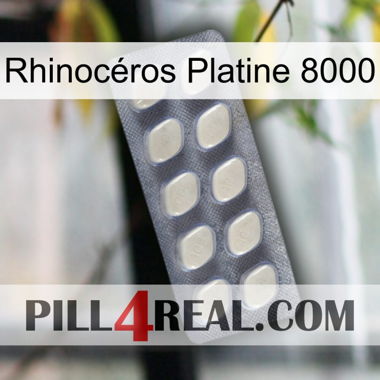 Rhinocéros Platine 8000 08